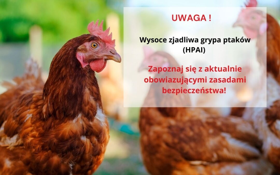 Zdjęcie wydanego Rozporządzenia nr 4/2025 Powiatowego Lekarza Weterynarii w Lesznie