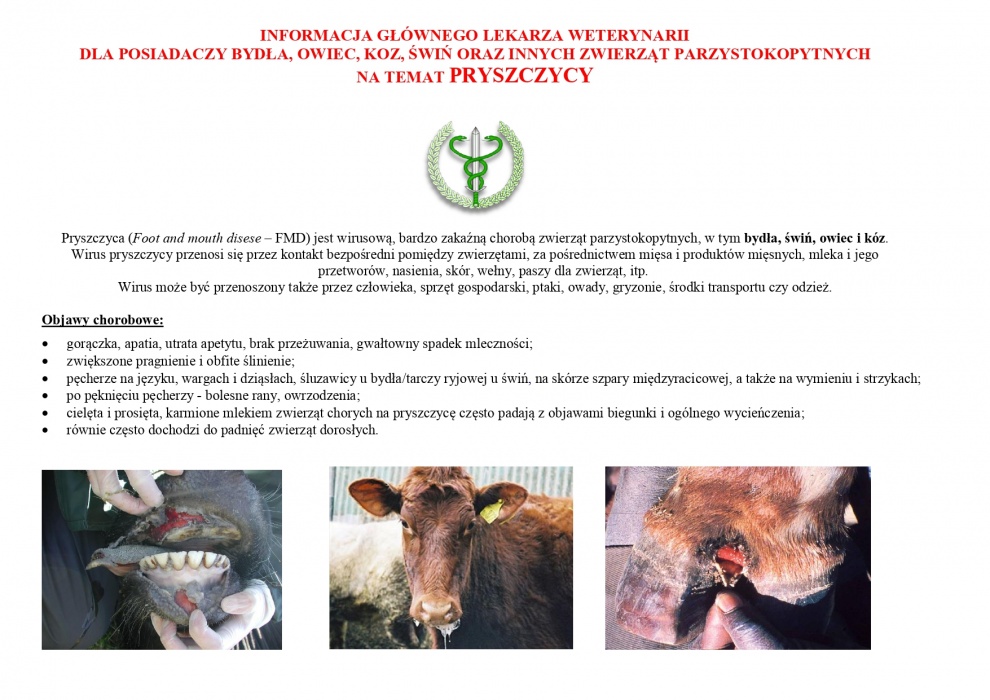 Zdjęcie zagrożenia wystąpienia pryszczycy u zwierząt
